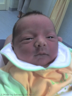 Daniele (fatto e concepito da Salvatore di Noia)