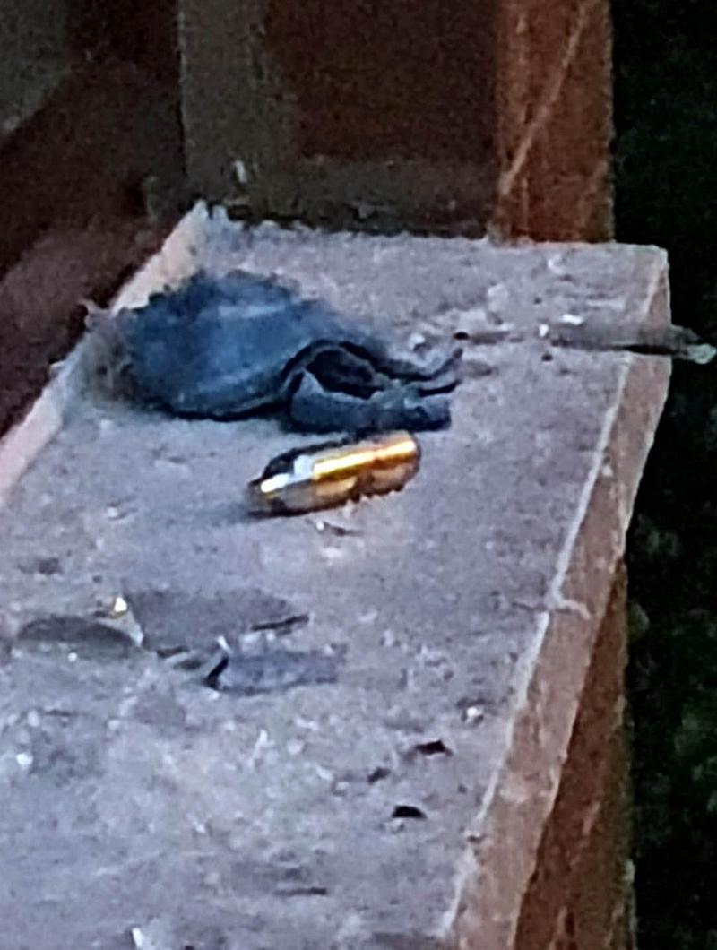 finucane-lenadoon-bomb-attack-016